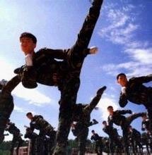 t017a14e3b8ce338f22.jpg